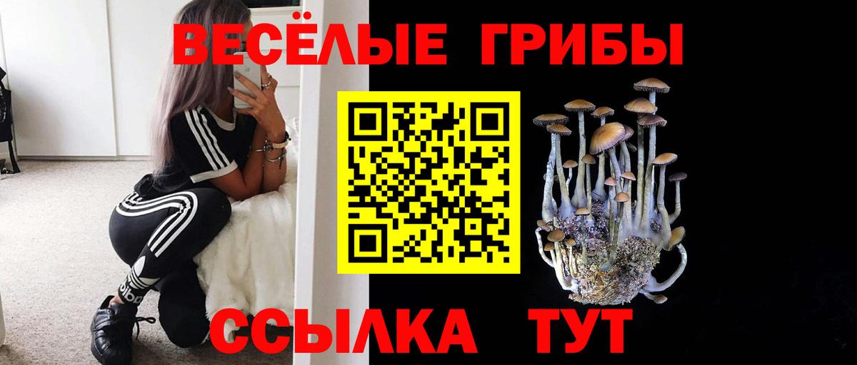 Галлюциногенные грибы мухоморы  Галлюциногенные грибы Psilocybine cubensis  Вход с VPN  Рязань 